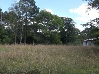 1030 Lewis St, Lincolnton, GA 30817 - photo 2