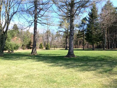 Yard/Garden.