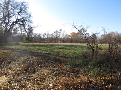 Mature Trees