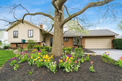 Beautiful landscaping
