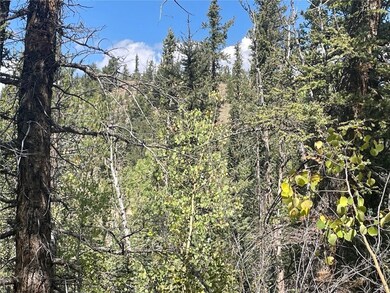 169 Ithaca Ln, Como, CO 80432 - photo 4