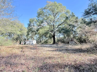 5343 Alabama 153, Samson, AL 36477 - photo 3