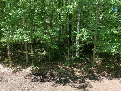 Lovely wooded backdrop