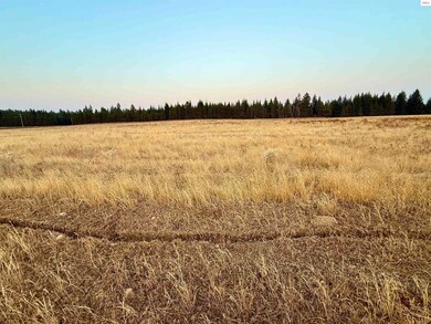 NKA N Stonemason Way, Rathdrum, ID 83858 - photo 5