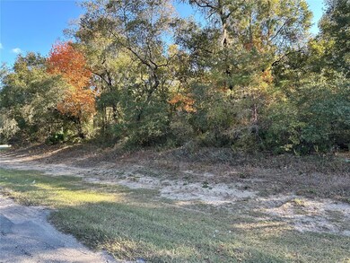 6100 County Road 214, Keystone Heights, FL 32656 - photo 7