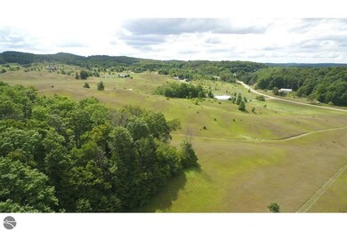 0 E Lincoln Rd unit 1885083, Cedar, MI 49621 - photo 6