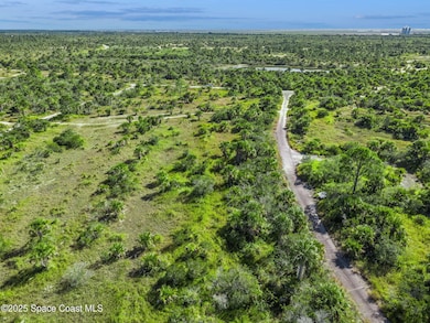 1313 Magic St SW, Palm Bay, FL 32908 - photo 6