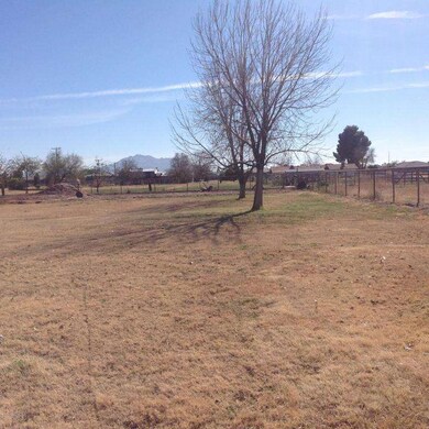 Pasture - Room for Roping Area