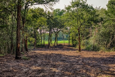 Tract 6 Sun Oil Rd, Brenham, TX 77833 - photo 5