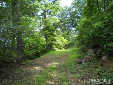 000 Tryst Dr, Asheville, NC 28805 - photo 4