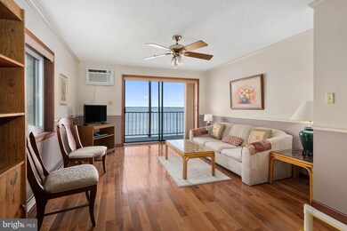 11615 Shipwreck Rd unit 7, Ocean City, MD 21842 - photo 6