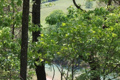 IMG_9748