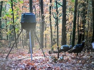 0 Madison 4099 unit 1322233, Crosses, AR 72727 - photo 6