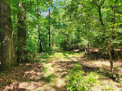 145 S Sugar Creek Rd, Eatonton, GA 31024 - photo 6