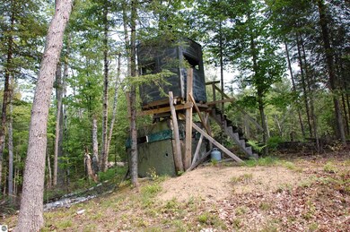 Off of Gallagher Rd, West Branch, MI 48661 - photo 3