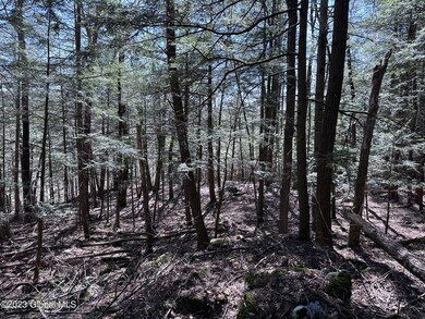 8FDCFC4E-F3AF-4B79-8BAE-582782F7512D