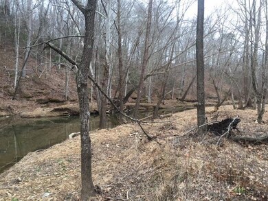 106 Hurricane Creek Rd, Tennessee Ridge, TN 37178 - photo 6