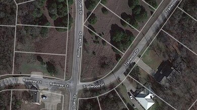 12132 Trailwood Dr & Rolling Oaks Dr, Whitney, TX 76692 - photo 4