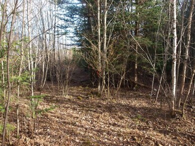 Lot 3 Crystal Ave, Jefferson, NH 03583 - photo 5