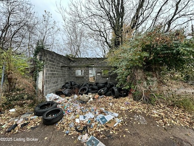 2513 Howard St, Louisville, KY 40211 - photo 6