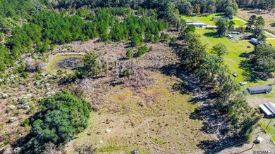 26848 S Satsuma Rd, Livingston, LA 70754 - photo 7