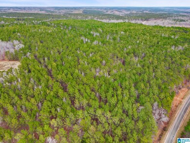 00 County Road 632 unit Acres, Roanoke, AL 36274 - photo 4