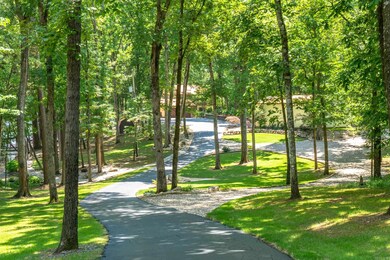 701 Charlie Stover Rd, Royal, AR 71968 - photo 3