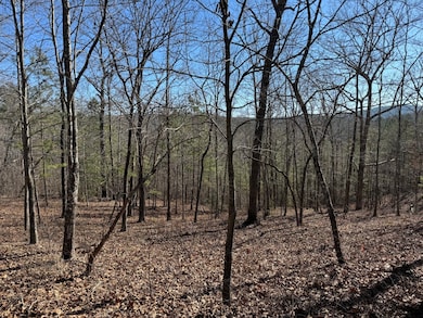 0 Harris Creek Drive Lot unit 29, Ellijay, GA 30540 - photo 2