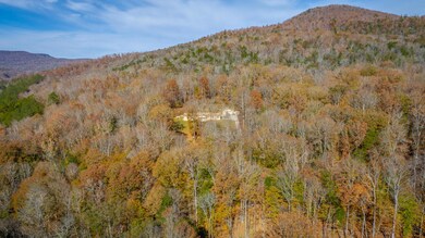 519 Hargiss Cove Rd, South Pittsburg, TN 37380 - photo 4