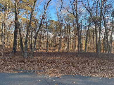 27 Tower Ridge Rd, Oak Bluffs, MA 02557 - photo 2