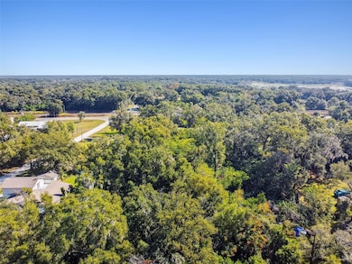 8408 Richland School Rd, Zephyrhills, FL 33540 - photo 2