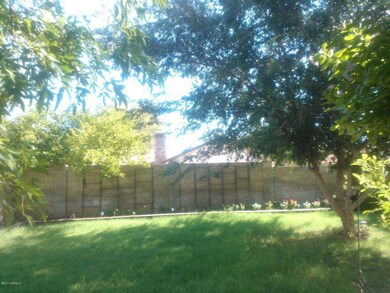 Back yard