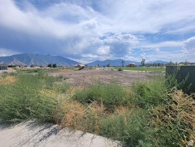 879 W 700 S unit 1, Springville, UT 84663 - photo 3