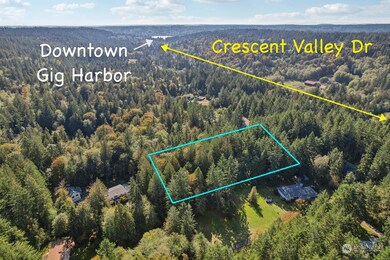 2720 120th St NW, Gig Harbor, WA 98332 - photo 6