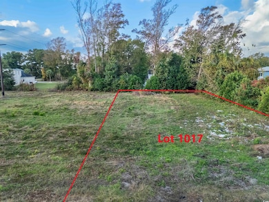 1017 Atlantic St, Atlantic Beach, SC 29582 - photo 6