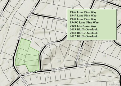 1946-1949C, 2017-202 Lone Pine Way, Crestone, CO 81131 - photo 2
