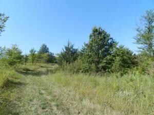 Tobin-40 Acres (4)