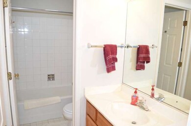 1315 Lazy Hollow Ct, Naperville, IL 60565 - photo 6