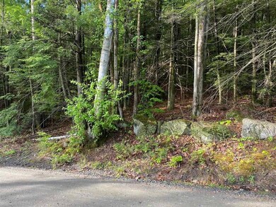 0 Old Swanzey Rd unit Map 18 Lot B004, Chesterfield, NH 03462 - photo 4