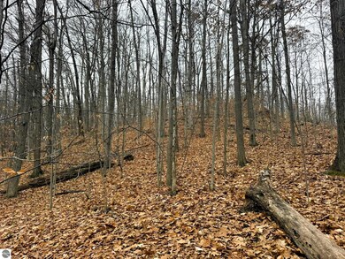 Lot 57 Valley Run Rd unit 57, Custer Township, MI 49615 - photo 4
