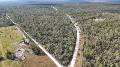 0 SE River Rd unit 25641257, Lee, FL 32059 - photo 4