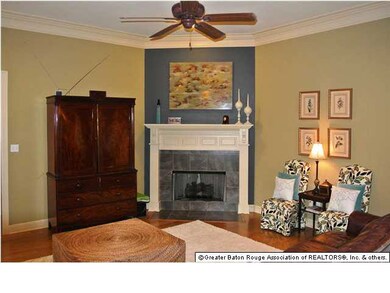 Living Room Fireplace
