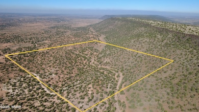 9591 Privette Ln, Snowflake, AZ 85937 - photo 6