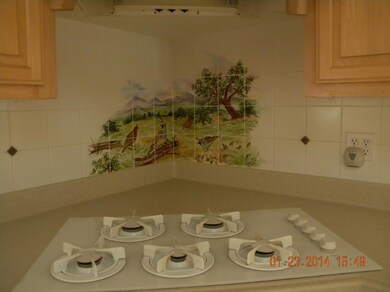 cooktop