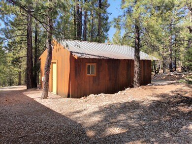 Detached garage
