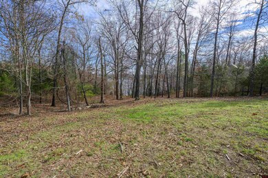 760-25378-000 Canterbury Ln, Bull Shoals, AR 72619 - photo 7
