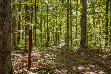 Roaring Creek Farms-98