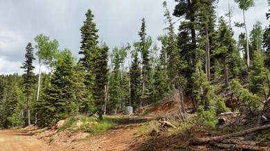 1035 W Shale Cir Zvme E-152, Duck Creek Village, UT 84762 - photo 2