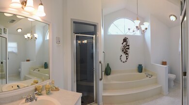 Master Bath/shower and Soaking tub