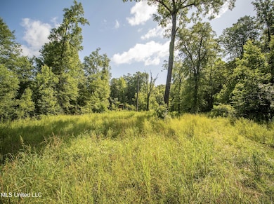 Screen Shot 2025-09-23 at 4.16.20 PM